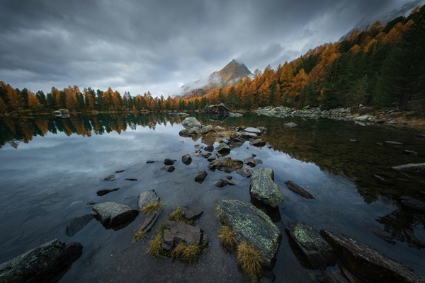 Lago con arboles y rocas